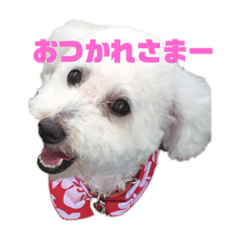[LINEスタンプ] ロールナミ