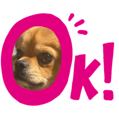 [LINEスタンプ] BOSS.DOG