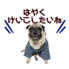 [LINEスタンプ] 中島家のこたろうとけんたろう