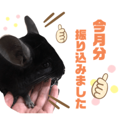 [LINEスタンプ] かなたゴンチャつかえるシリーズ
