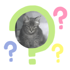 [LINEスタンプ] ボトム