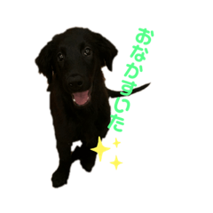 [LINEスタンプ] Lily Face stamp 2