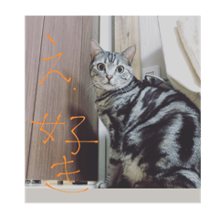 [LINEスタンプ] ビビちゃんのたわいもない一言