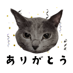 [LINEスタンプ] 愛しのミーシャとマリン