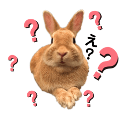 [LINEスタンプ] ひぃちゃんず