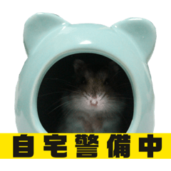 [LINEスタンプ] あずきすたんぷ ②
