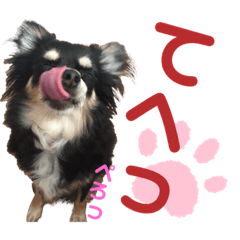 [LINEスタンプ] チワワスタイル【ぱる＆てん】