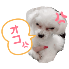 [LINEスタンプ] Nemu2