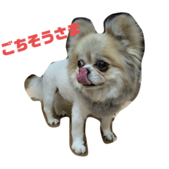 [LINEスタンプ] うちの子ライオン❷