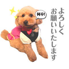 [LINEスタンプ] ここさんこれくしょん
