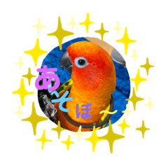 [LINEスタンプ] Koganemekishiko