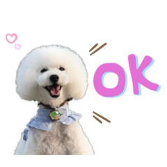 [LINEスタンプ] トイプードルのラテ王子