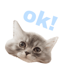 [LINEスタンプ] ぽったーだおん 2