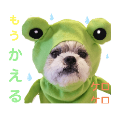 [LINEスタンプ] コスプレシーズーマックン