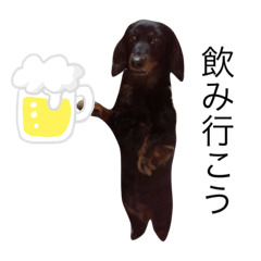 [LINEスタンプ] ちょぴこのスタンプ