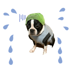 [LINEスタンプ] ラム＆バズ