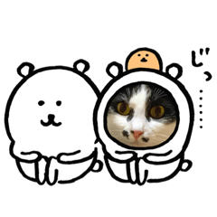 [LINEスタンプ] わんにゃん3姉妹の毎日便利スタンプ