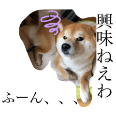 [LINEスタンプ] 愛想の悪いぽんたろー。