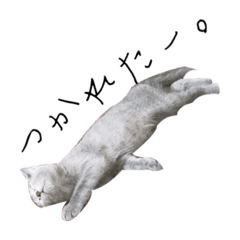 [LINEスタンプ] 癒しのめいスタンプ