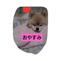 [LINEスタンプ] 有頂天
