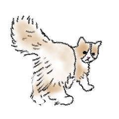 [LINEスタンプ] 腹毛がくるくるネコちゃん