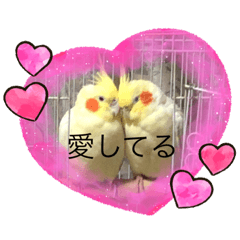 [LINEスタンプ] オカメの愉快な仲間たち