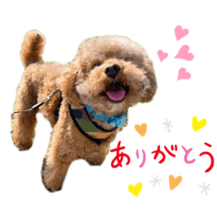 [LINEスタンプ] アデルん❤︎