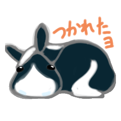 [LINEスタンプ] 鼻白くろちゃん 2