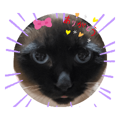 [LINEスタンプ] ままにゃん