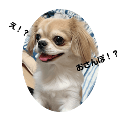 [LINEスタンプ] こんぶの1日