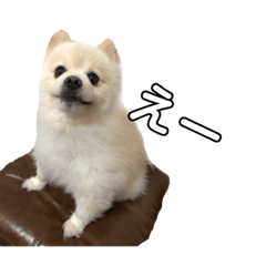 [LINEスタンプ] ランジュくんとルイちゃん、シーズン5