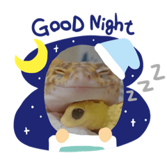 [LINEスタンプ] ゆずももわらびきなこクリボーチョコ