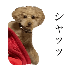 [LINEスタンプ] 俺の本音②