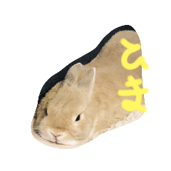 [LINEスタンプ] 可愛いポター君