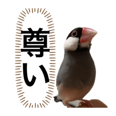 [LINEスタンプ] デイリーユースおこげ