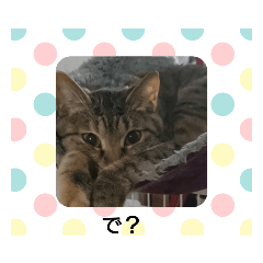 [LINEスタンプ] 可愛友達～