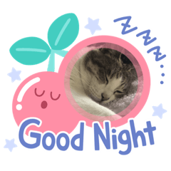 [LINEスタンプ] えこちやん