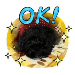 [LINEスタンプ] シープー！！