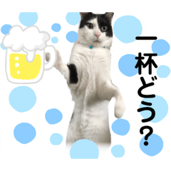 [LINEスタンプ] やんくんですよ