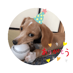 [LINEスタンプ] わんぱくわんこ