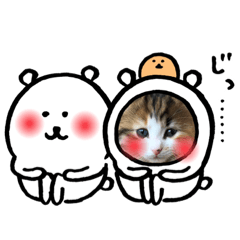 [LINEスタンプ] うちのうちのやくも