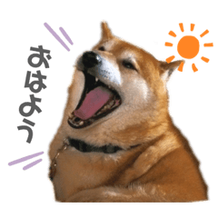 [LINEスタンプ] ふくちゃん日常で使えるスタンプ