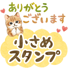 [LINEスタンプ] 小さめ☆猫たちのスタンプの画像（メイン）