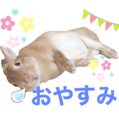 [LINEスタンプ] もちもちももちゃん
