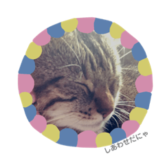 [LINEスタンプ] miraの日常