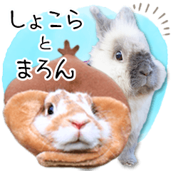 [LINEスタンプ] まろん＆しょこらのスタンプ