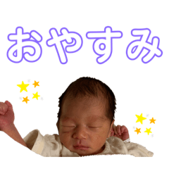 [LINEスタンプ] 蓮桜あいさつ1