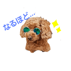 [LINEスタンプ] モコかわ