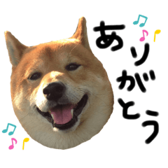 [LINEスタンプ] マックススタンプ2