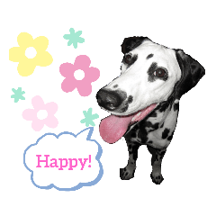 [LINEスタンプ] ダルメシアンのアンディだよーno.5